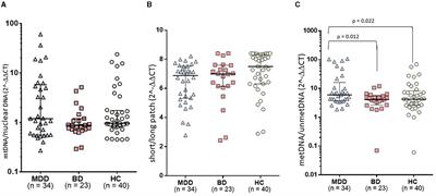 Mitochondrial DNA oxidation, methylation, and copy number alterations in major and bipolar depression